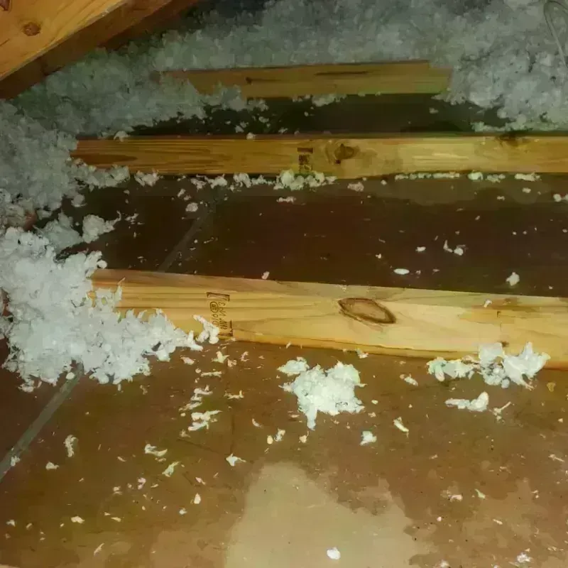 Attic Water Damage in Anchor Point, AK