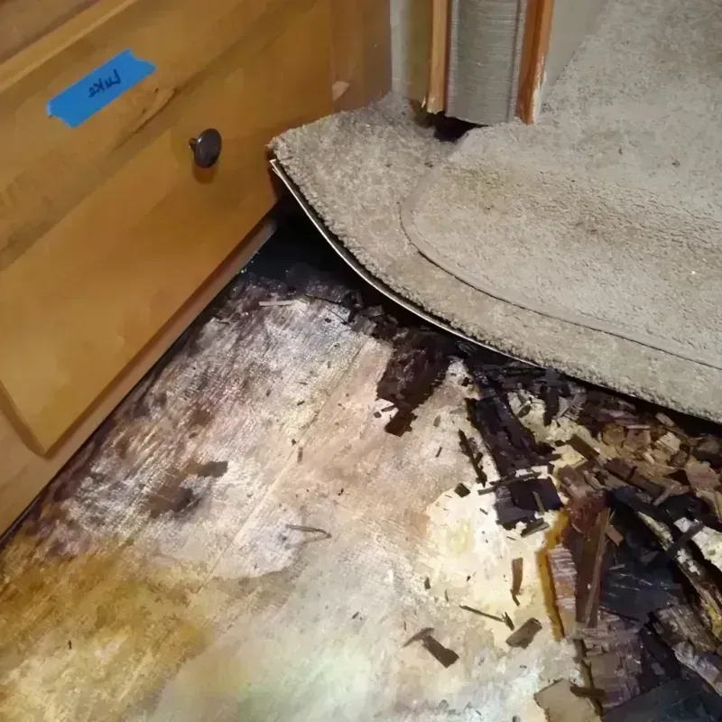 Wood Floor Water Damage in Anchor Point, AK